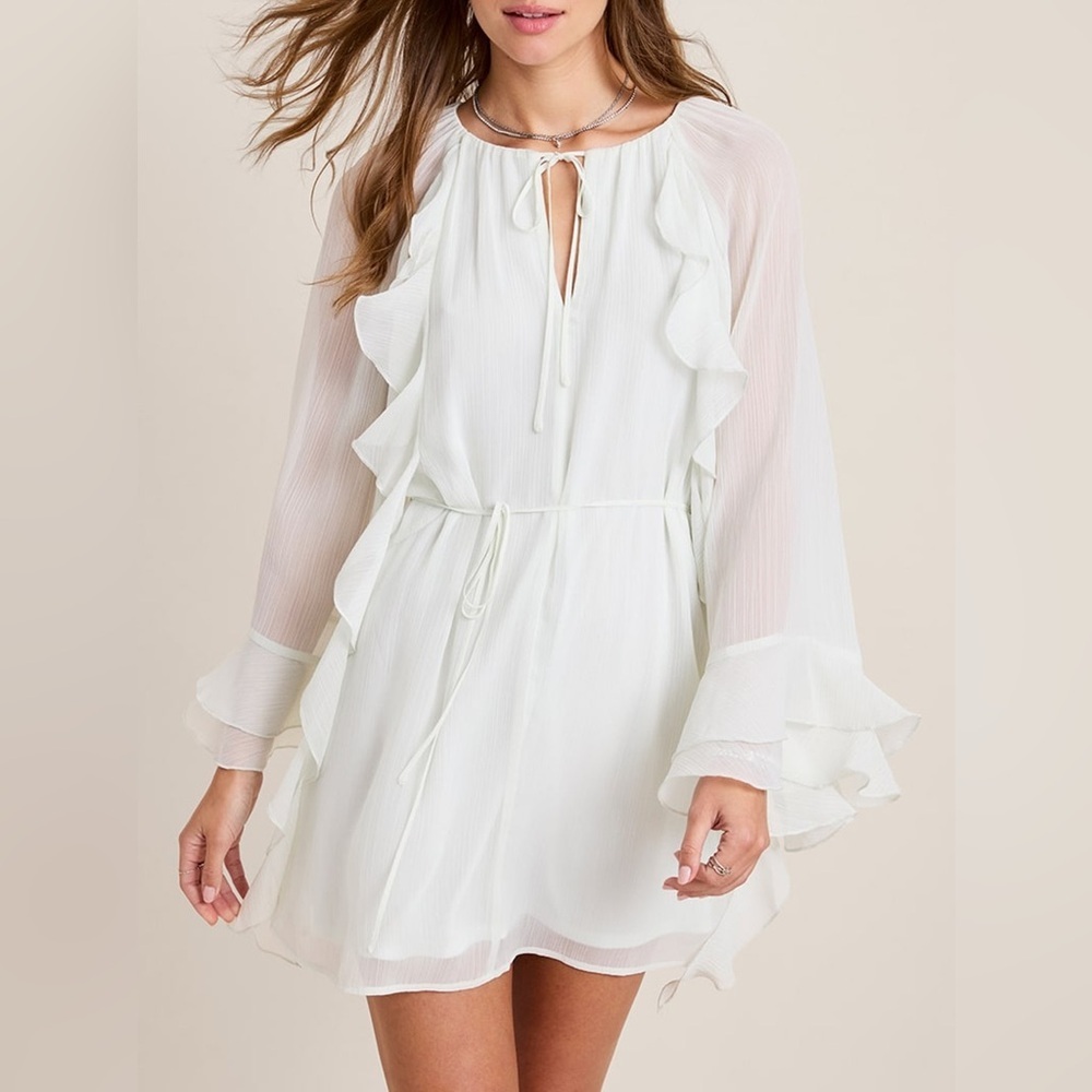 Jacklyn Ruffled Chiffon Mini Dress Medium Sizes